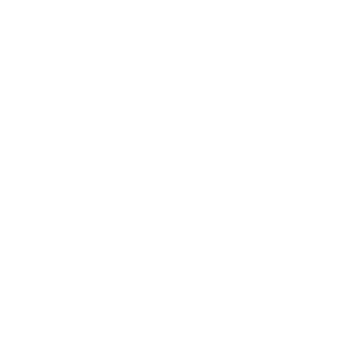 FV Web Solutions